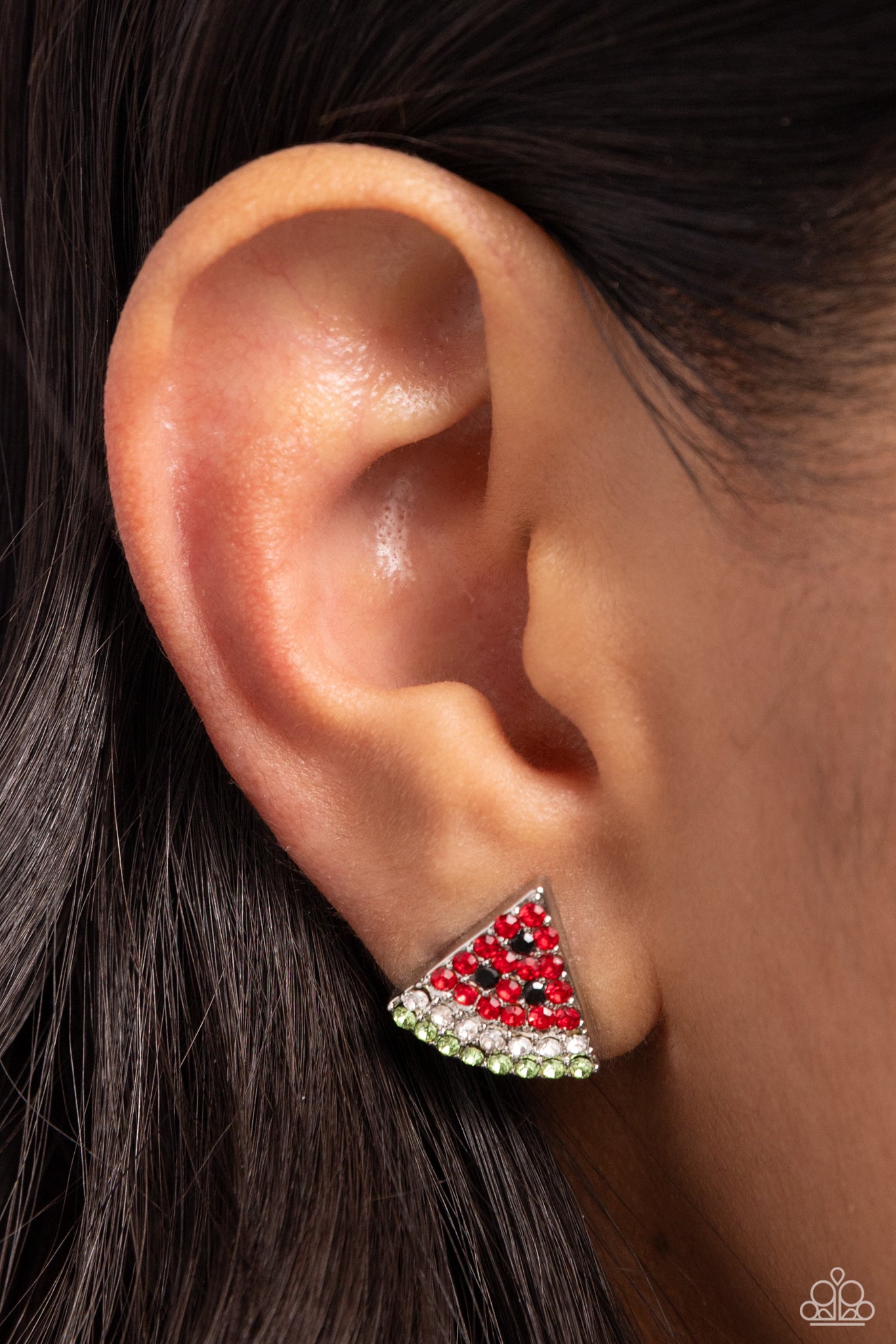 Watermelon Slice Red Earring